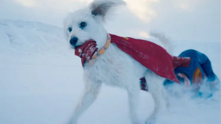 Krypto, el superperro de “Superman”, impulsa la adopción de mascotas en más de un 500%