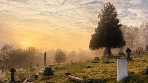 WhatsApp personas fallecidas