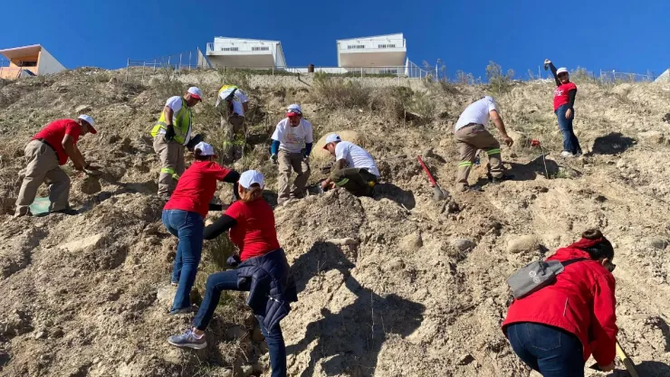 Reforestan en Parque Esperanto en Tijuana con plantas nativas de BC