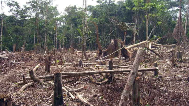 El presidente de Brasil Jair Bolsonar se ha expresado a favor de incrementar la actividad minera y agraria, incluyendo en la Amazonia. Imagen: Flickr