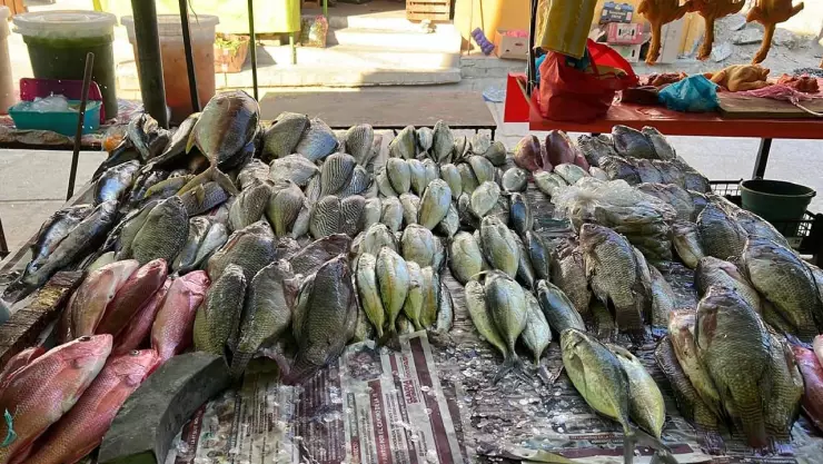 Pescados frescos en mercado local de Acapulco