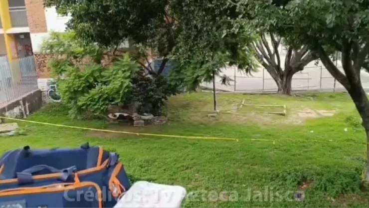 Hombre es localizado sin vida dentro de un parque en la colonia Santa Cecilia