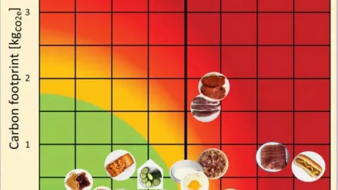 Un hot dog te quita 36 minutos de vida saludable