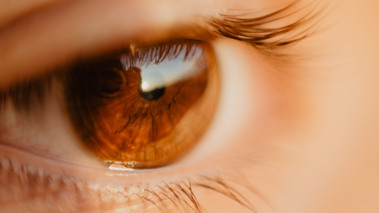 ojos marrones.png