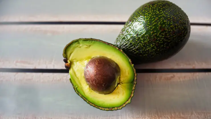 aguacate