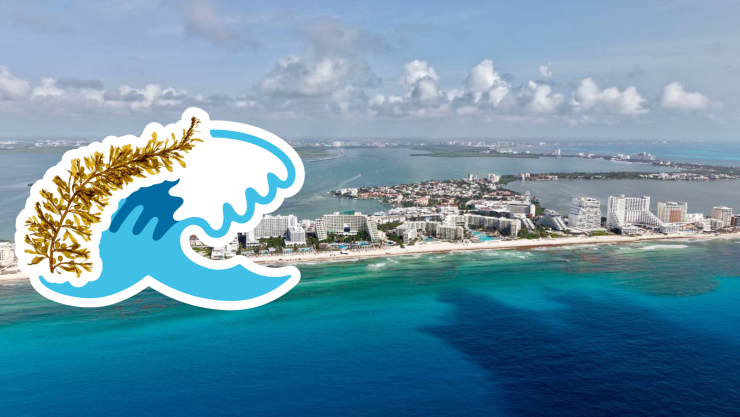 Playas libres de sargazo en Quintana Roo HOY 7 de julio de 2025_ Lista desde Holbox, Cancún y hasta Tulum.jpg