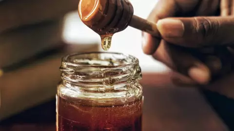 Tesoros de las abejas mayas: La miel que cuida tus vías respiratorias de manera natural