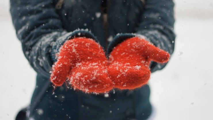¿Caerá nieve en Veracruz? Esto es lo que se sabe del clima con el frente frío y el evento de Norte