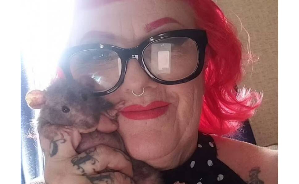 Video Mujer baña a 50 ratas en el fregadero, se hace viral