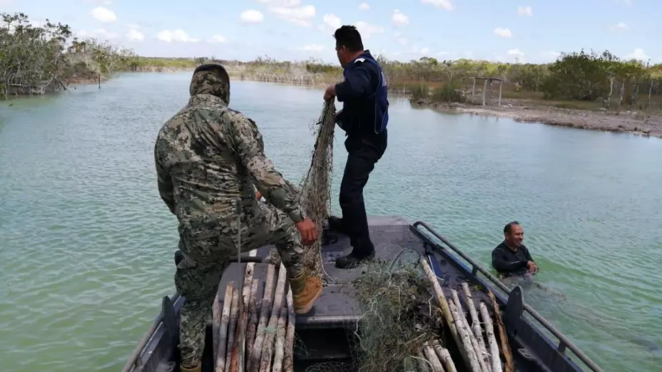 Red Estero de Chac.12.jpeg