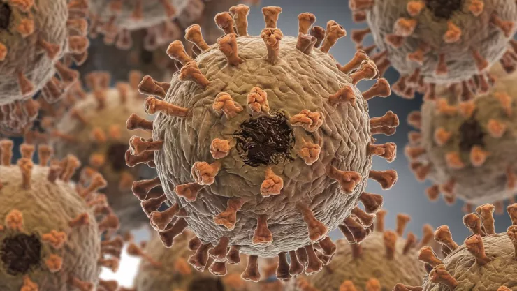 Reportan primer caso de la nueva variante de mpox en este lugar.jpg