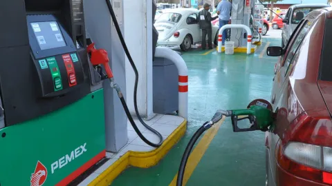 Gasolina