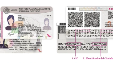 ¿Cómo saber la vigencia Modelos de credencial de elector vigentes en México