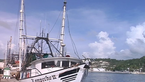 El Golfo de México es una gran cuenca oceánica ubicada al sur de América del Norte, limitando con las costas de México, Estados Unidos y Cuba