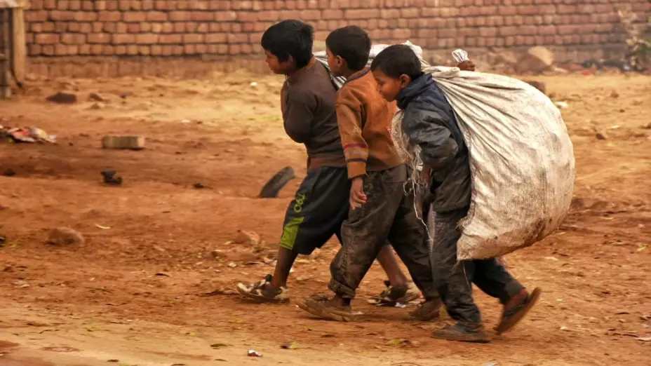 Día Mundial contra el Trabajo Infantil: ¿Cuántos niños son obligados a laborar y a casarse en México?