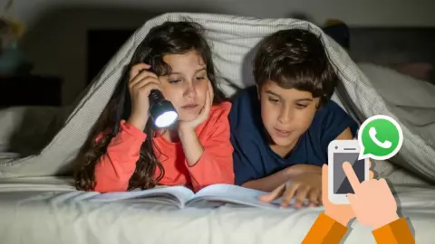 dia del hermano frases.