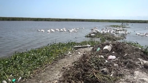 PRESA TAMAULIPAS.jpg