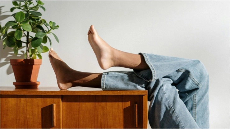 ¡Sin calor! Tres tips para mantener tu casa fresca durante esta temporada de calor en Aguascalientes