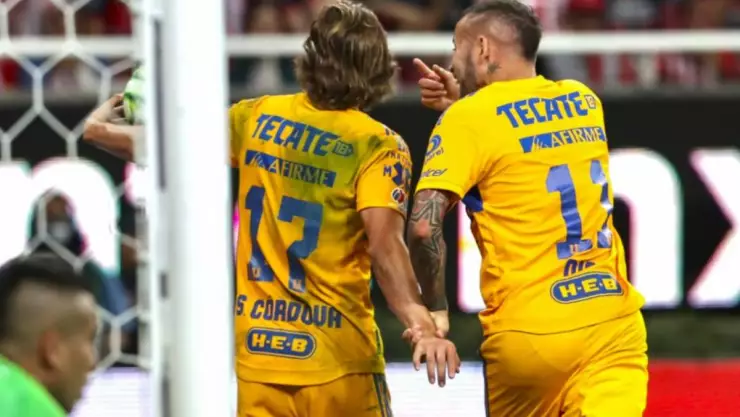 Tigres.