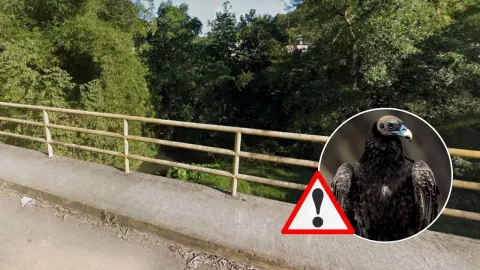 El caso generó conmoción entre habitantes del fraccionamiento