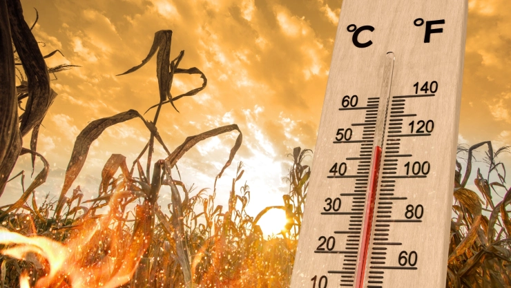 Un termómetro de madera indica más de 45º C y de 100ª F bajo un cielo soleado