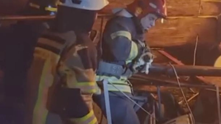 Rescatan a gato de edificio incendiado.
