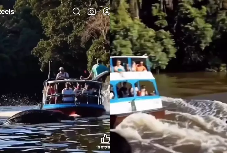 serpiente cañón del sumidero