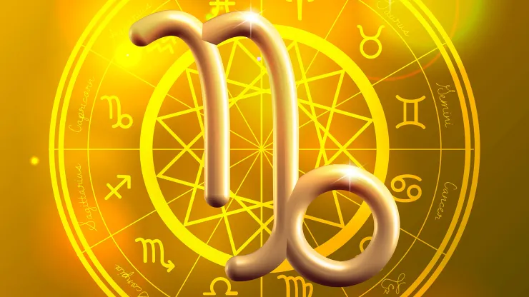 Signo Capricornio 2