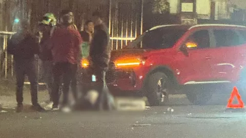 Atropellados en Bosques de San Sebastián