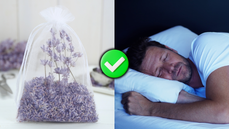 /estilo-de-vida/casa-bolsita-con-lavanda-mejorar-sueno-dormir