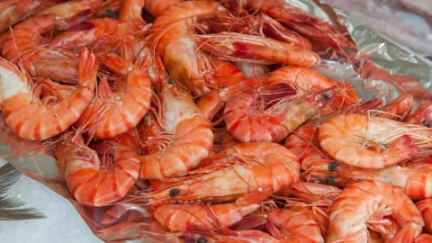 Precio del kilo de camarón en Guadalajara.jpg