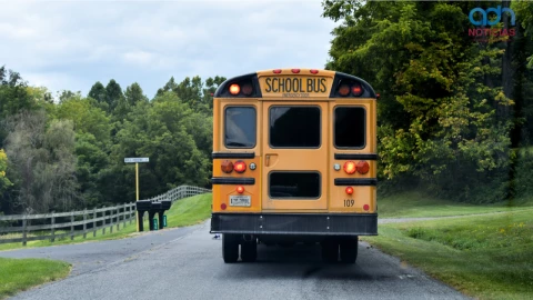 Autobus escolar.png