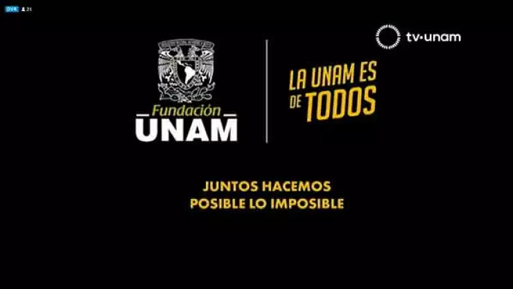 UNAM 28 años.jpg