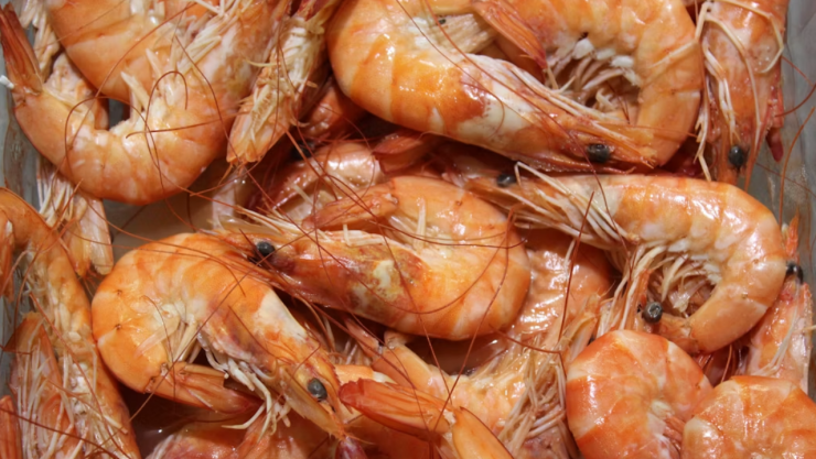 Lista completa: retiran de forma urgente camarones contaminados con salmonela