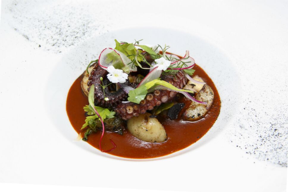 pulpo oaxaca
