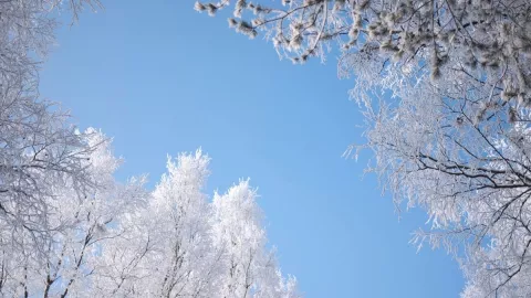 Tormenta invernal, qué es 3.jpg
