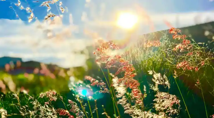 equinoccio-primavera-que-es-cuando-inicia.jpg