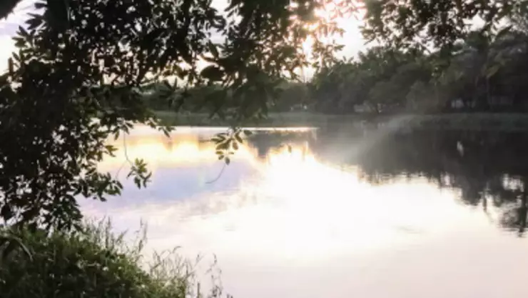 Laguna de lagartos .