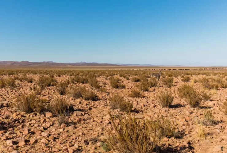 Prevén contingencia por sequía ante falta de lluvias