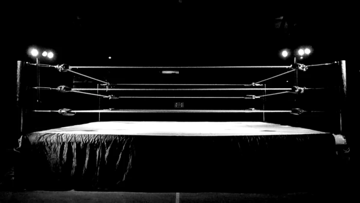 Ring lucha libre