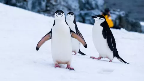 Efemérides del 25 de abril: ¿Qué pasó en México y el mundo?