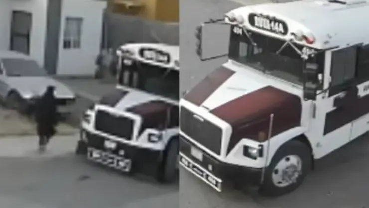 Roban camión de transporte