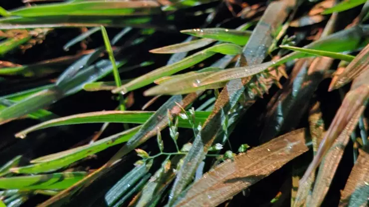 Se esperan temperaturas aún más bajas durante la madrugada en Las Vigas