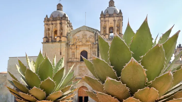 Oaxaca deslumbra con sus playas, su cultura milenaria y la diversidad de paisajes que ofrece al viajero.