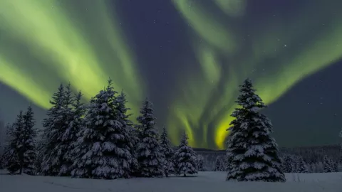 En Fairbanks se puede la aurora boreal