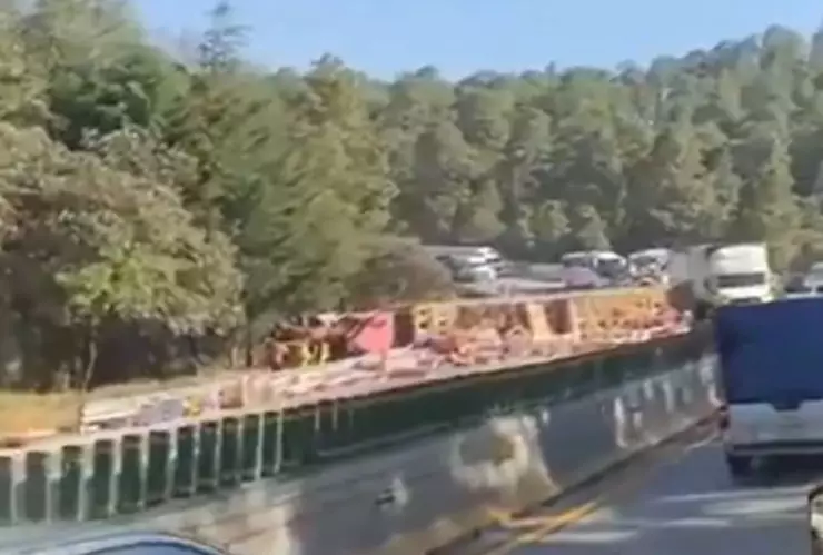 Tráiler de gallinas