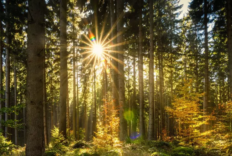 Equinoccio de Primavera 2025 ¿A qué hora entra en Aguascalientes hoy jueves 20 de marzo