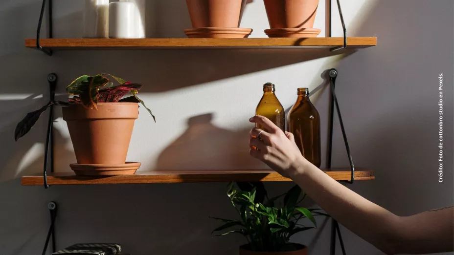 ¿Cómo hacer macetas con material reciclado? Descubre las opciones.