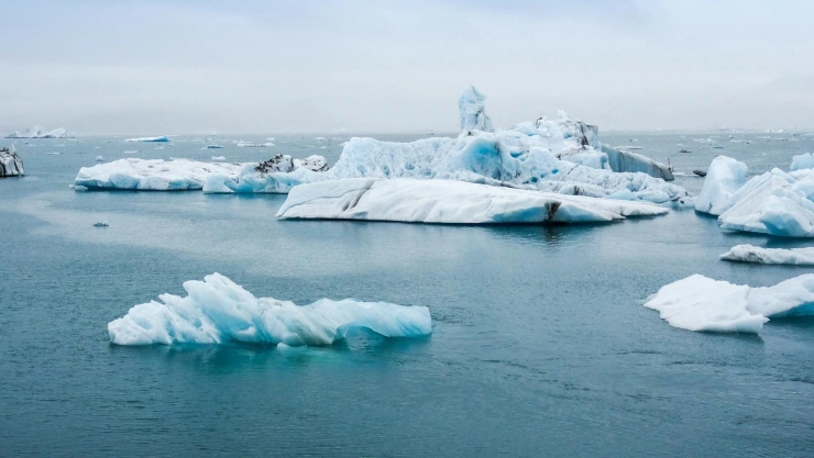 2025 año de la preservación de los glaciares.jpg