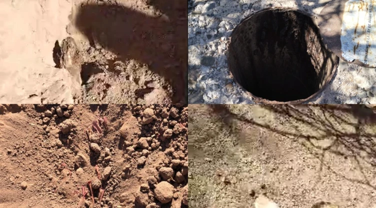 Fosas clandestinas en Sonora Madres buscadoras localizan cuerpos